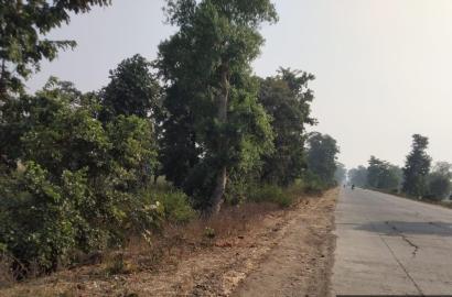 Highway Front Agricultural Land for Sale in Phulsagar, Mandla – ₹2 Crore/Acre