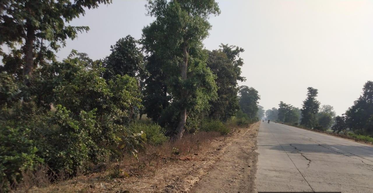 Highway Front Agricultural Land for Sale in Phulsagar, Mandla – ₹2 Crore/Acre