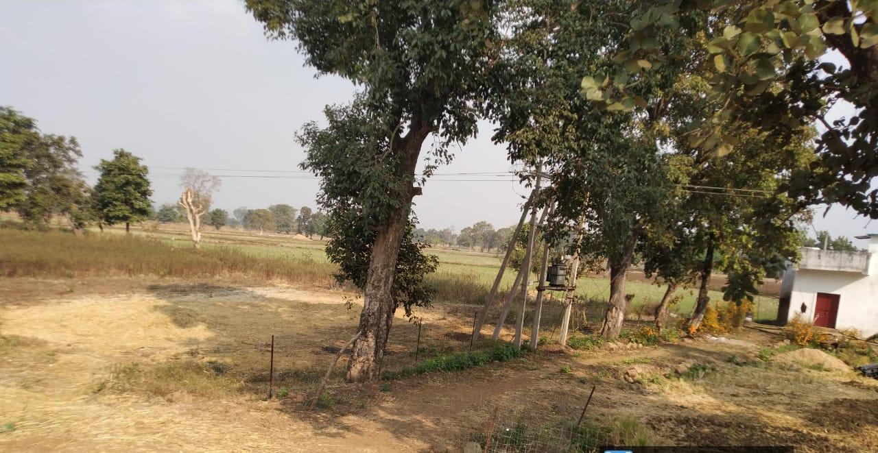 Highway Front Agricultural Land for Sale in Phulsagar, Mandla – ₹2 Crore/Acre