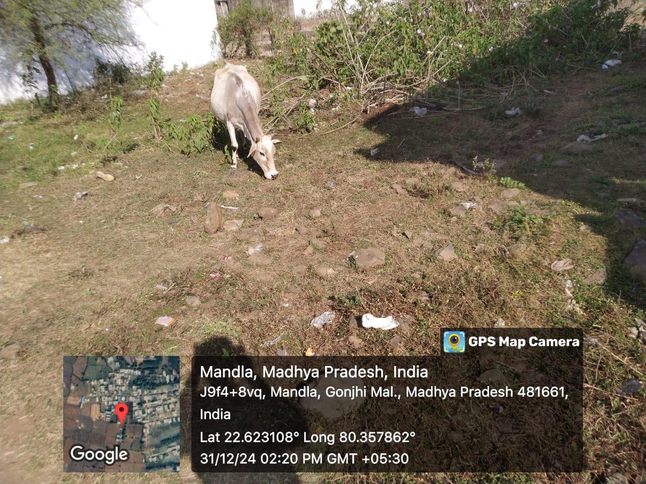 1500 Sqft Plot for Sale in Rajiv Colony, Devdara, Mandla – Peaceful & Well-Connected Location!