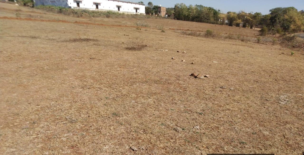 Agricultural Land for Sale in Semarkhapa, Mandla – ₹300 per Sqft