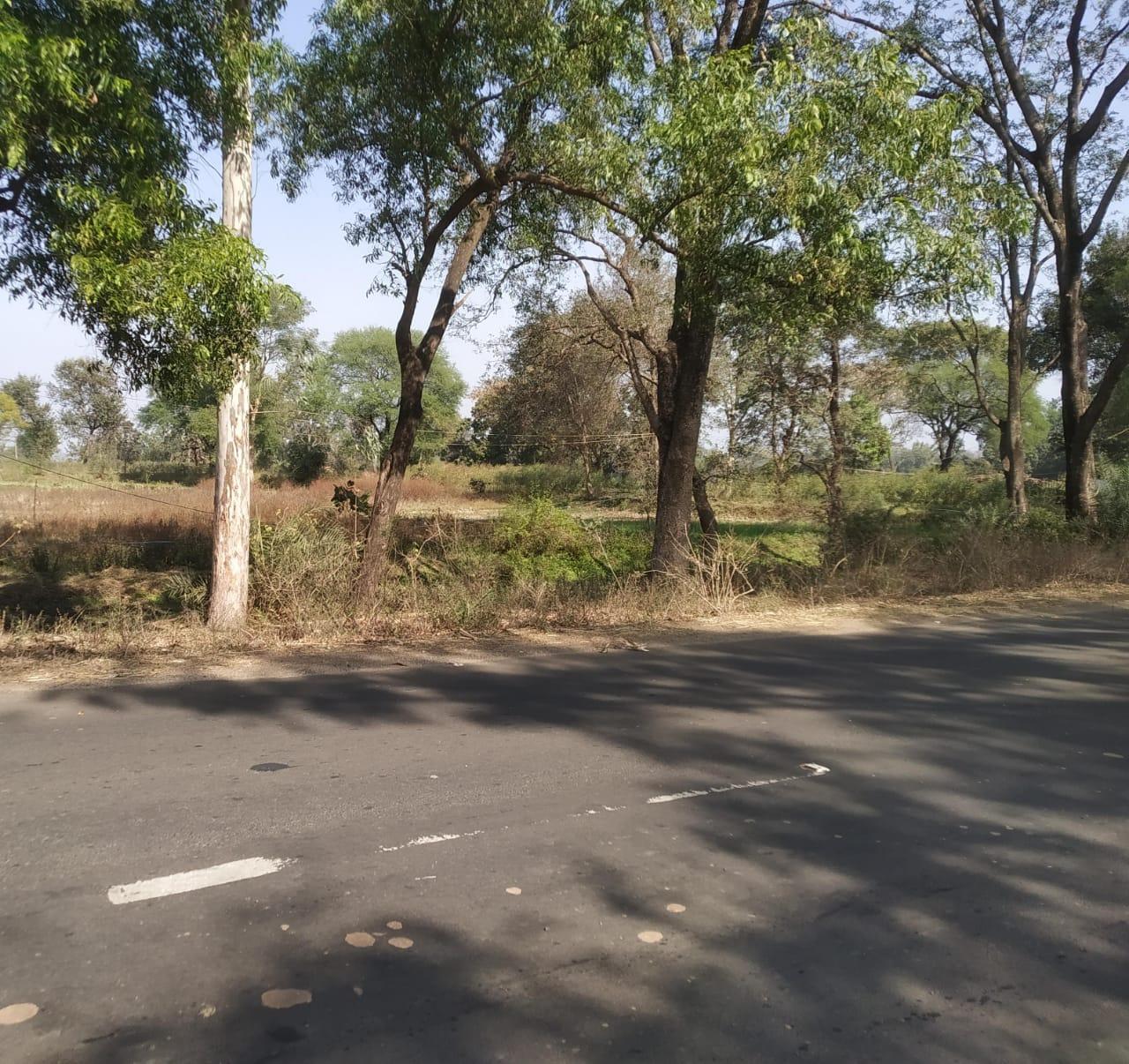 16,200 Sqft Plot for Sale Near Railway Station, Maharajpur, Mandla – Prime Location at ₹650 per Sqft!