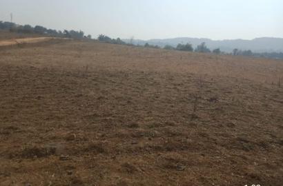 1 Acre 5 Dismil Land for Sale in Anjaniya, Bua Bichhiya, Mandla – Prime Location at ₹9 Lakh!