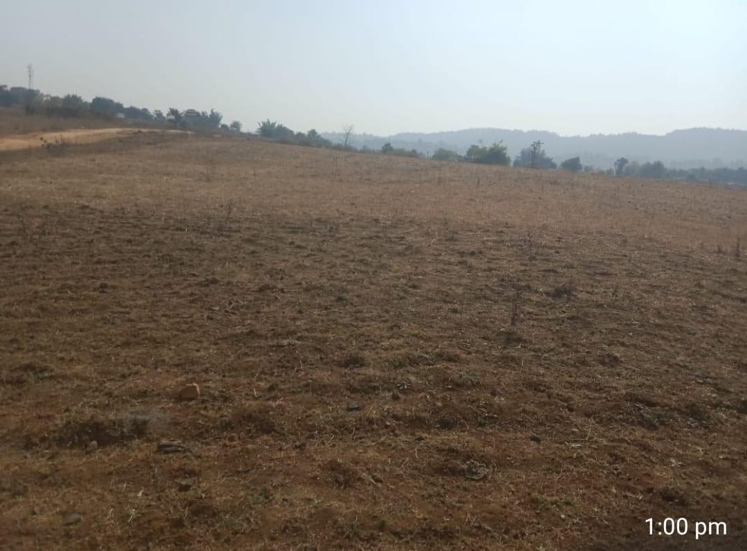 1 Acre 5 Dismil Land for Sale in Anjaniya, Bua Bichhiya, Mandla – Prime Location at ₹9 Lakh!