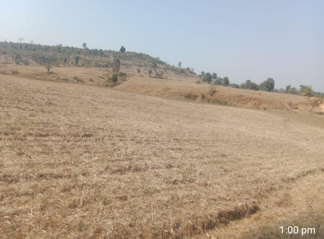 1 Acre 5 Dismil Land for Sale in Anjaniya, Bua Bichhiya, Mandla – Prime Location at ₹9 Lakh!