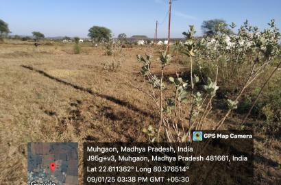 Affordable Land for Sale in Sharda Colony, Mandla – ₹900 per Sqft!