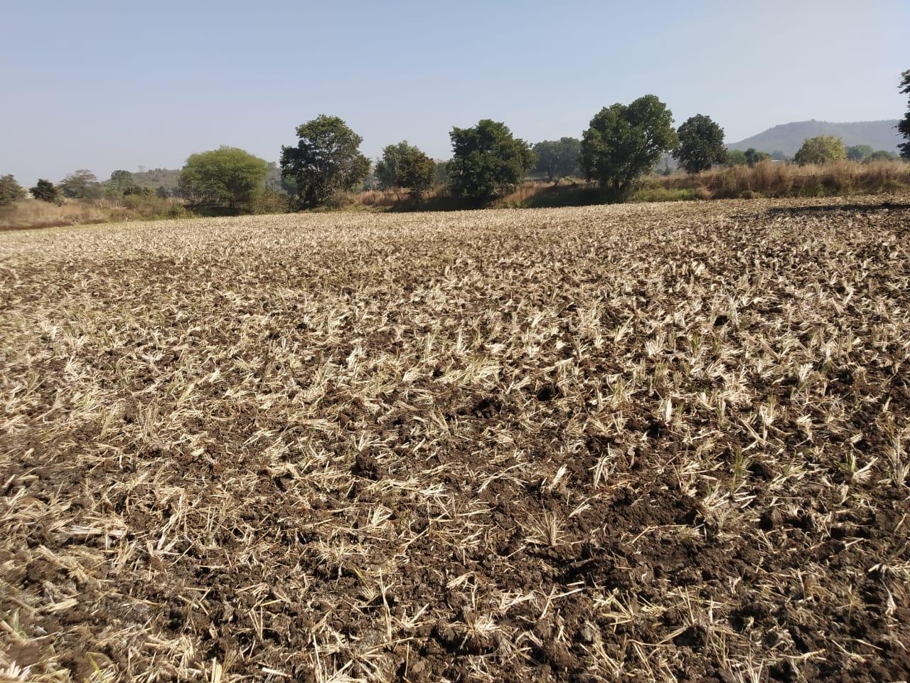 Agricultural Land for Sale at Semarkhapa Road, Katangi, Mandla