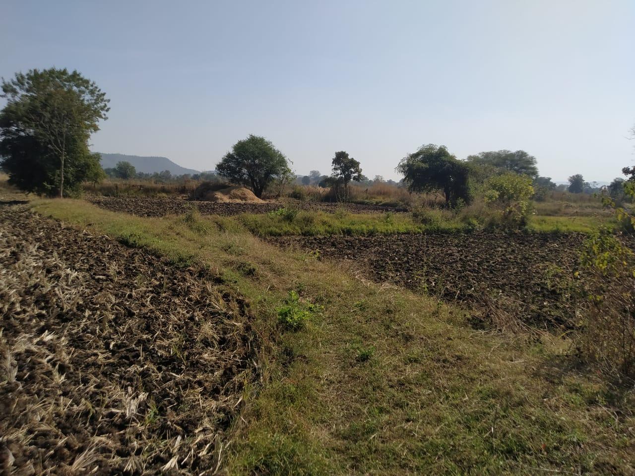 Agricultural Land for Sale at Semarkhapa Road, Katangi, Mandla