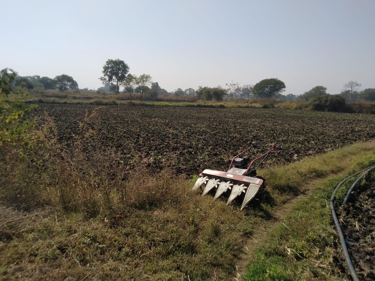 Agricultural Land for Sale at Semarkhapa Road, Katangi, Mandla