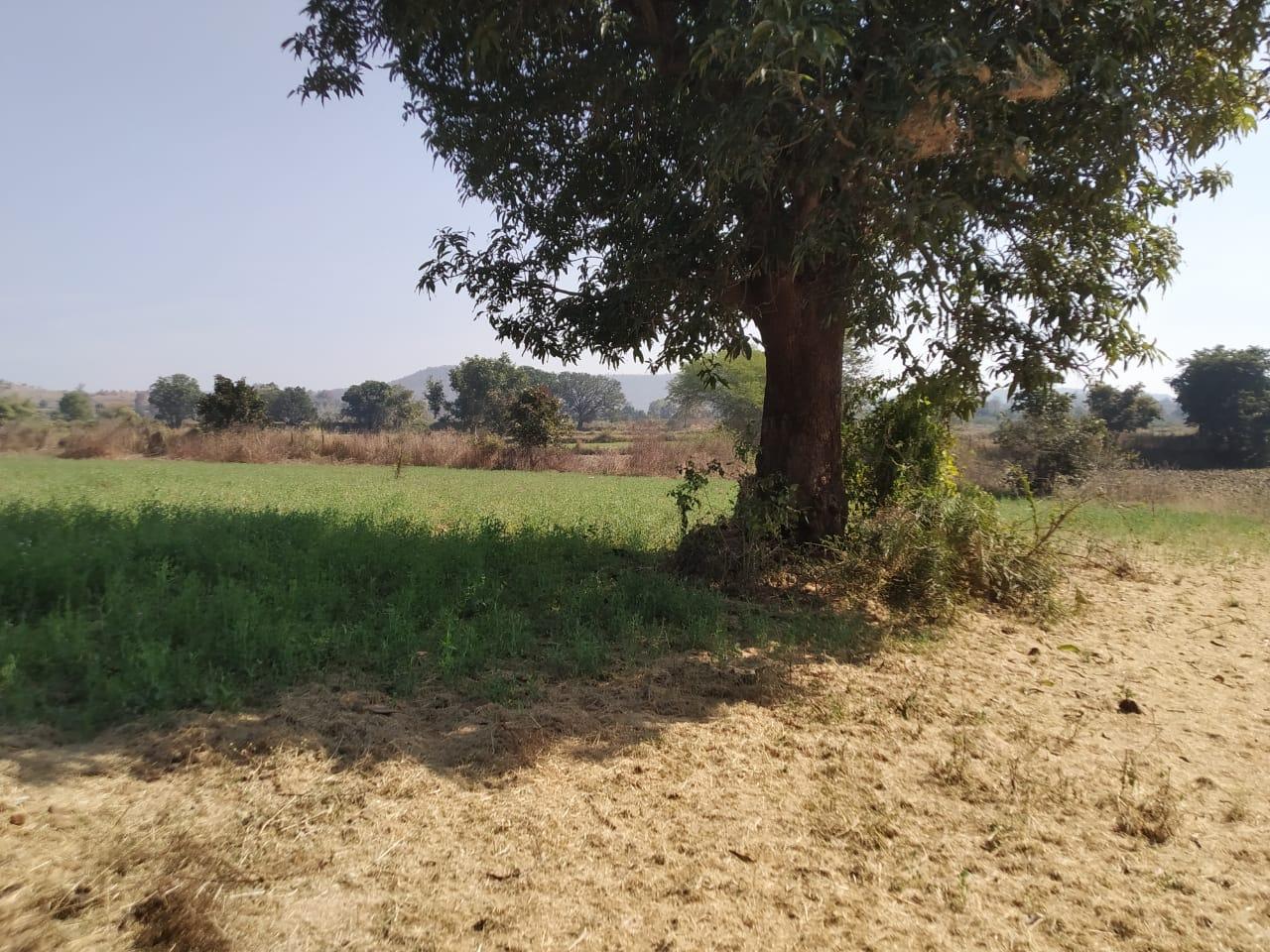 Agricultural Land for Sale at Semarkhapa Road, Katangi, Mandla