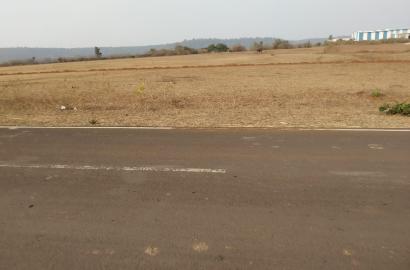 1 Acre Land for Sale on Semerkhaapa Road, Mandla – ₹270 per sqft (Last Rate)