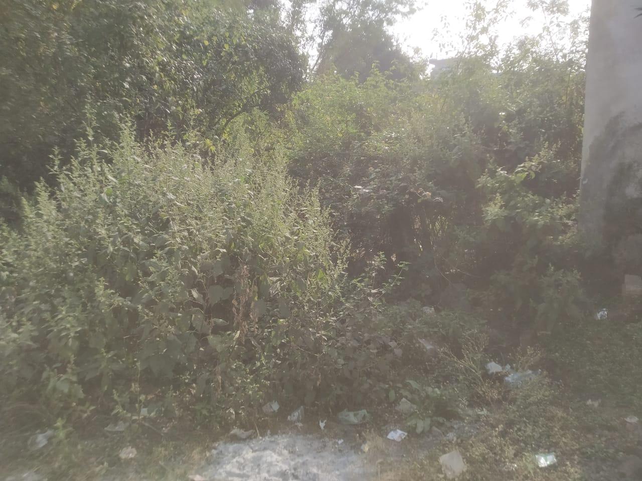 Prime Plot for Sale in Ashiyana Colony, Maharajpur, Mandla – ₹25 Lakh