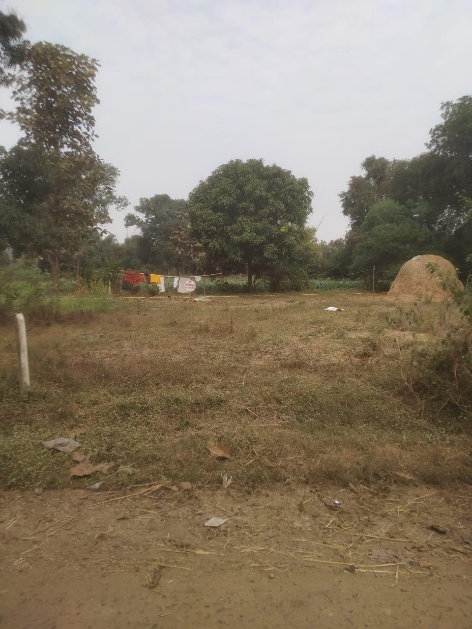 Spacious Plot in Rambagh Purwa, Mandla – ₹18 Lakh