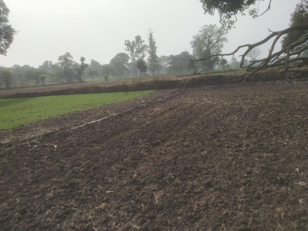 Prime Agricultural Land in Purwa, Raipur Road – ₹1.7 Crore